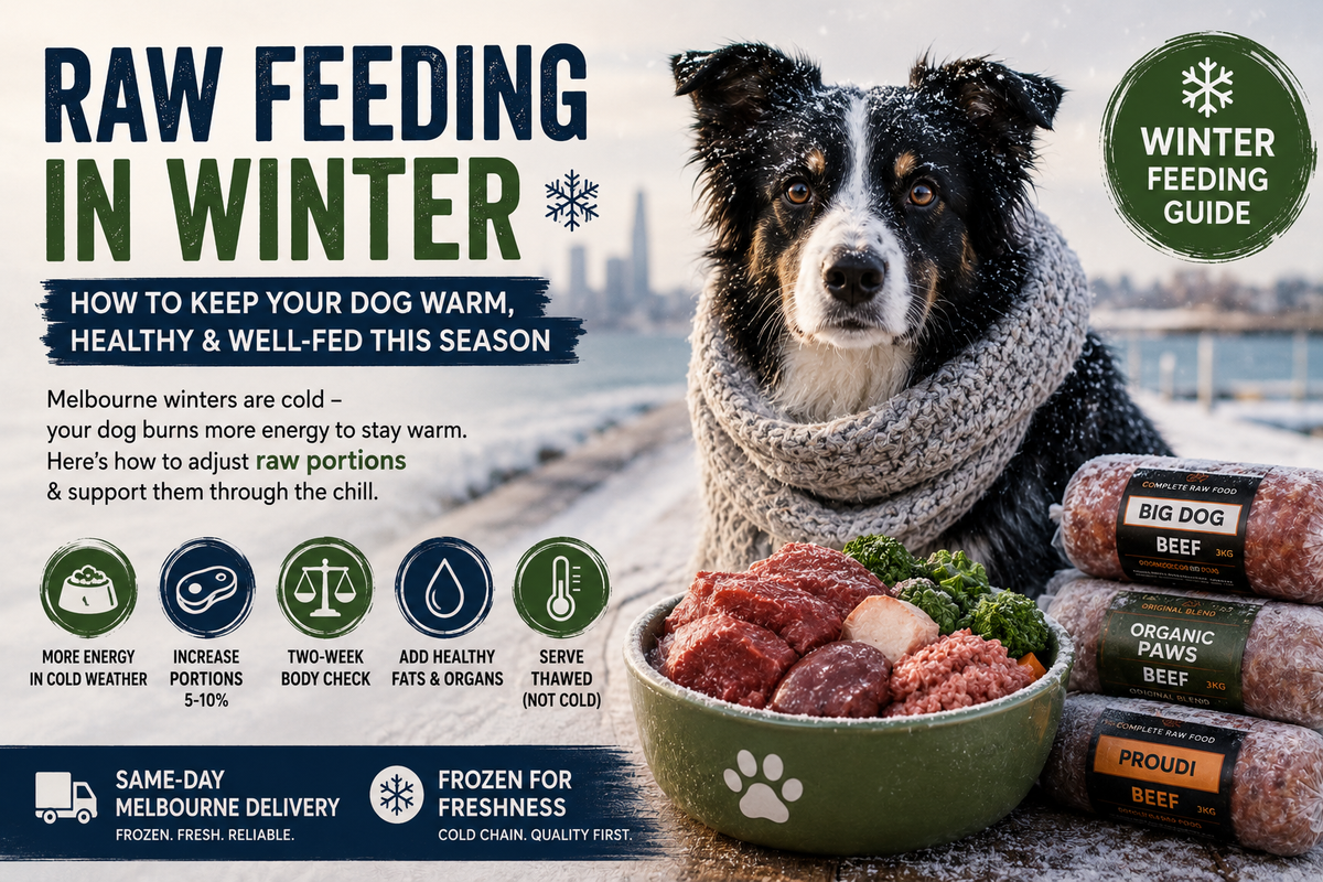 Winter Raw Feeding in Melbourne: How to Adjust Your Dog's BARF Diet in the Cold (2026)