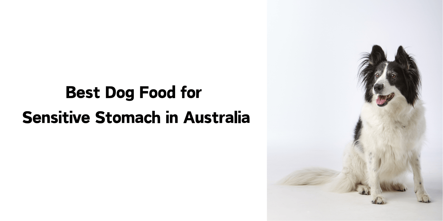 Best Dog Food for Sensitive Stomach in Australia blog banner