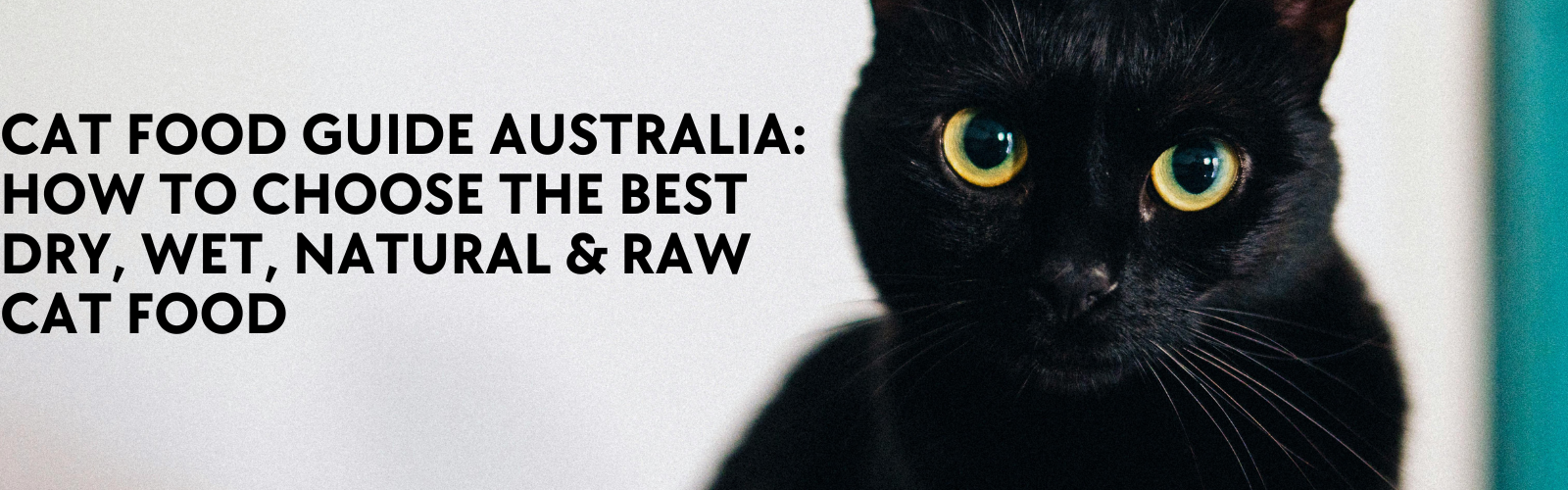 Cat Food Guide Australia: How to Choose the Best Dry, Wet, Natural & Raw Cat Food