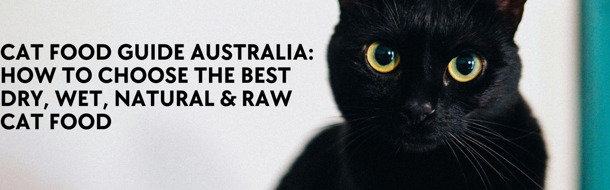 Cat Food Guide Australia: How to Choose the Best Dry, Wet, Natural & Raw Cat Food