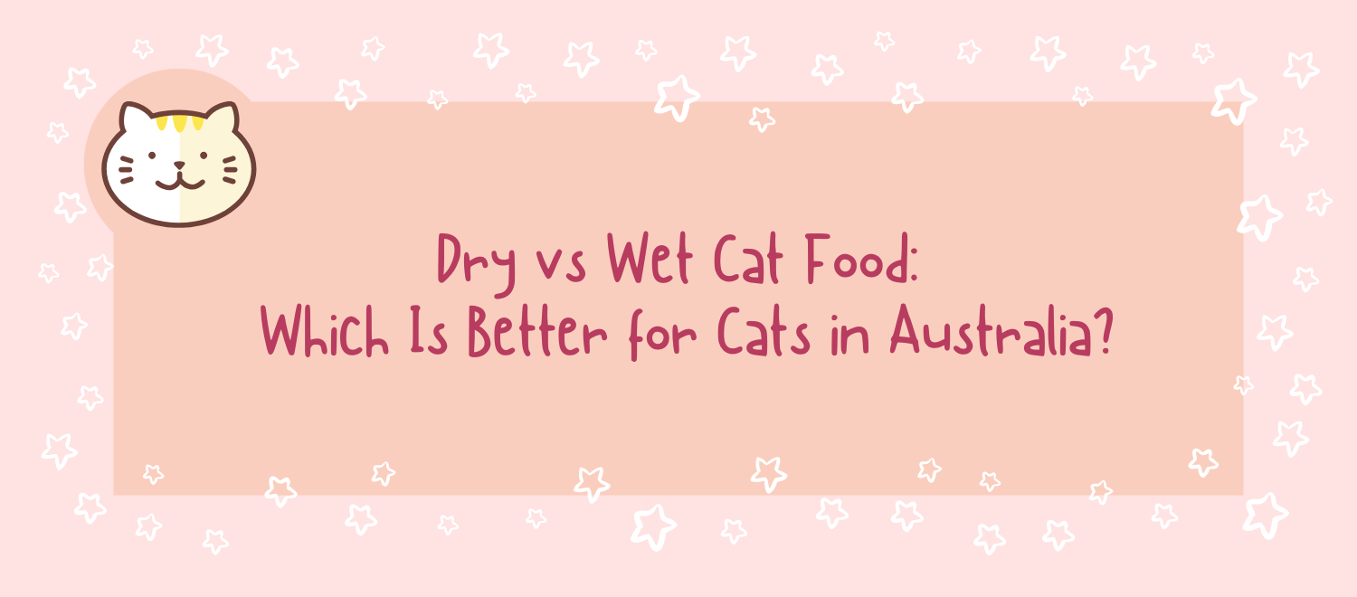 Dry vs Wet Cat Food: Which Is Better for Cats in Australia?