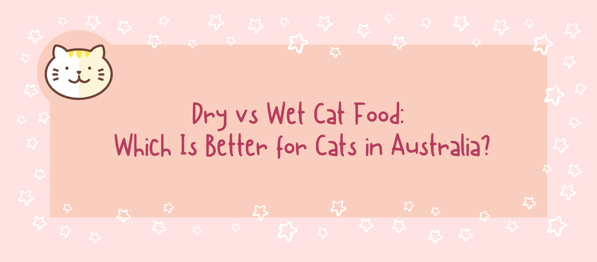 Dry vs Wet Cat Food: Which Is Better for Cats in Australia?