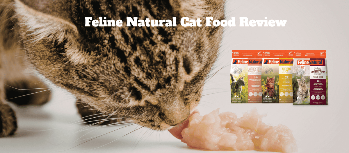 Feline Natural Cat Food Review Australia 2026: Freeze-Dried vs Wet + Frontier Pets Comparison