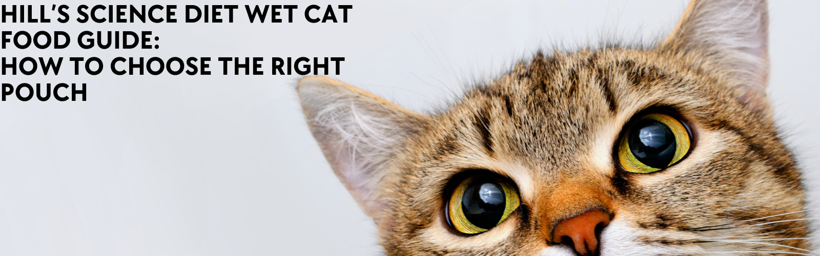 Hill's Science Diet Wet Cat Food Guide: Choose the Right Pouch  ADS Pet  Store