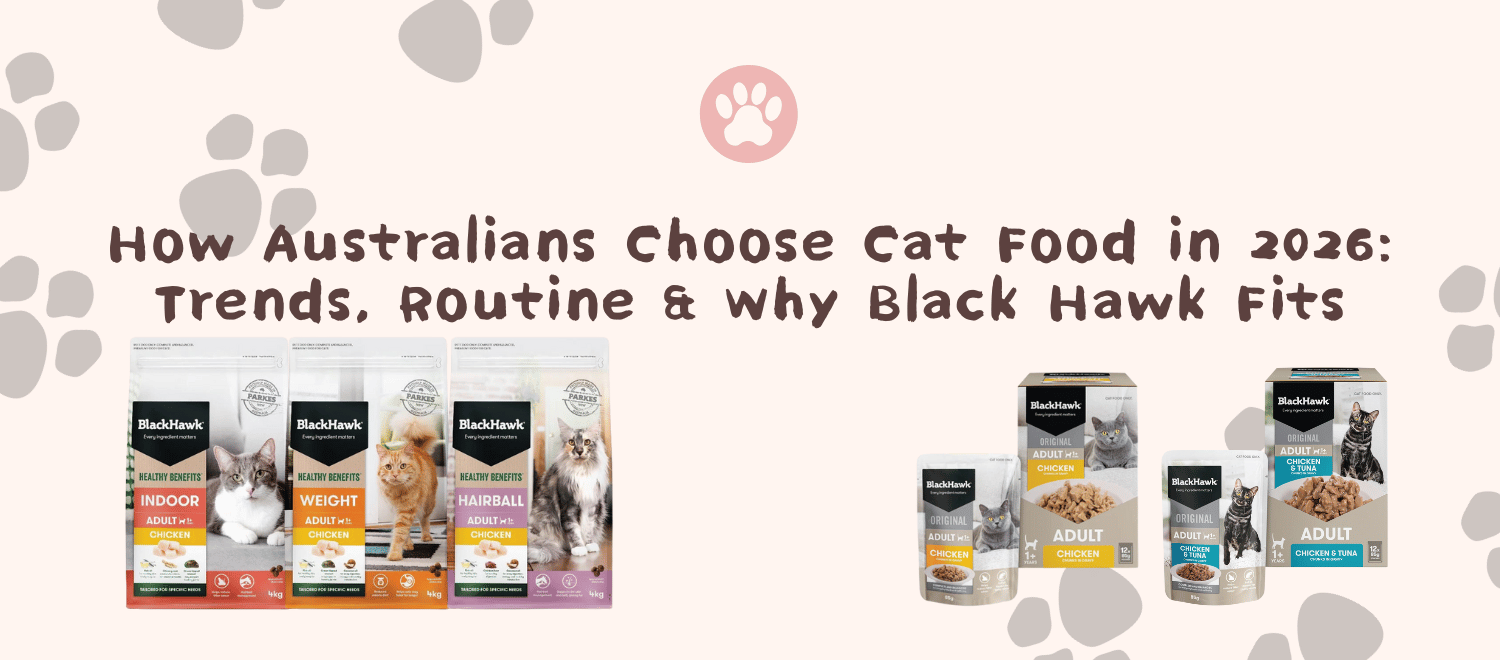 How Australians Choose Cat Food in 2026: Trends, Routine & Why Black Hawk Fits
