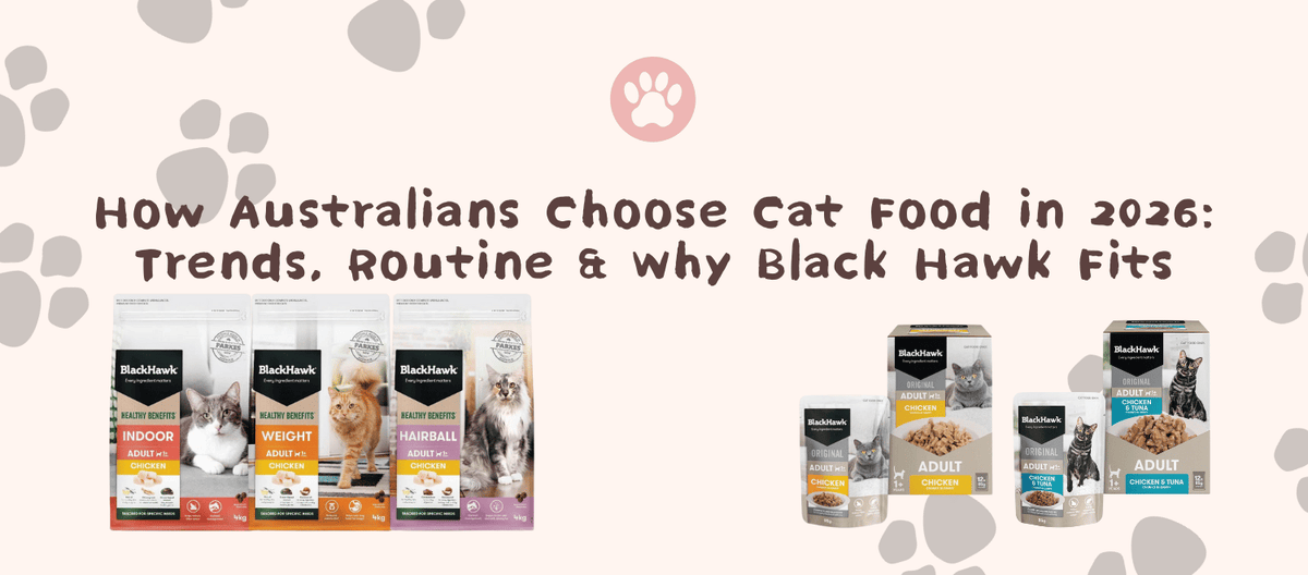 How Australians Choose Cat Food in 2026: Trends, Routine & Why Black Hawk Fits