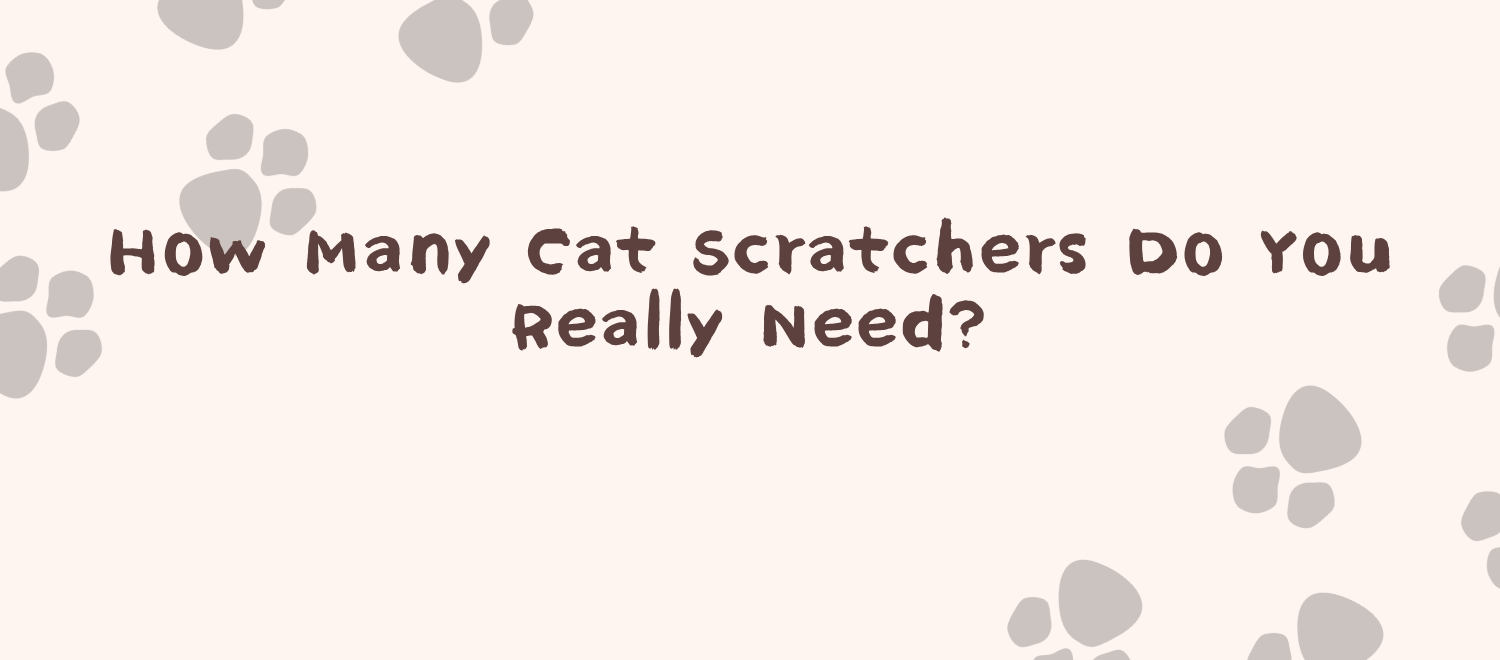 How Many Cat Scratchers Do You Really Need blog banner