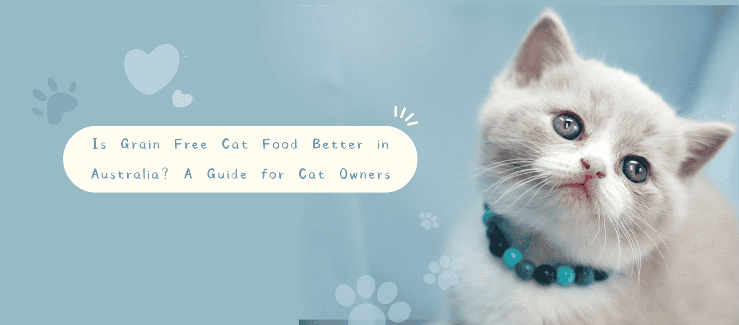 Is Grain Free Cat Food Better in Australia? A Guide for Cat Owners blog banner
