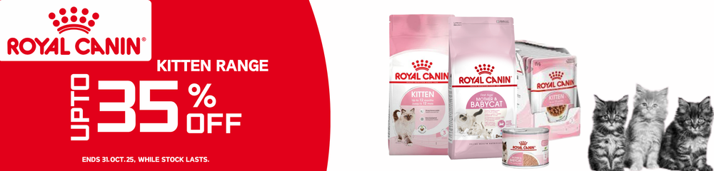 purina one mature dog food Purina ONE High Protein Dry Senior Dog Food Plus Vibrant Maturity Adul –  Petsense main image 1