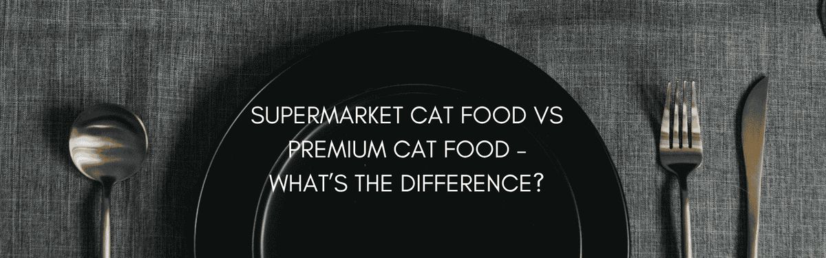 Supermarket Cat Food vs Premium Cat Food – What’s the Difference & Is Premium Worth It?