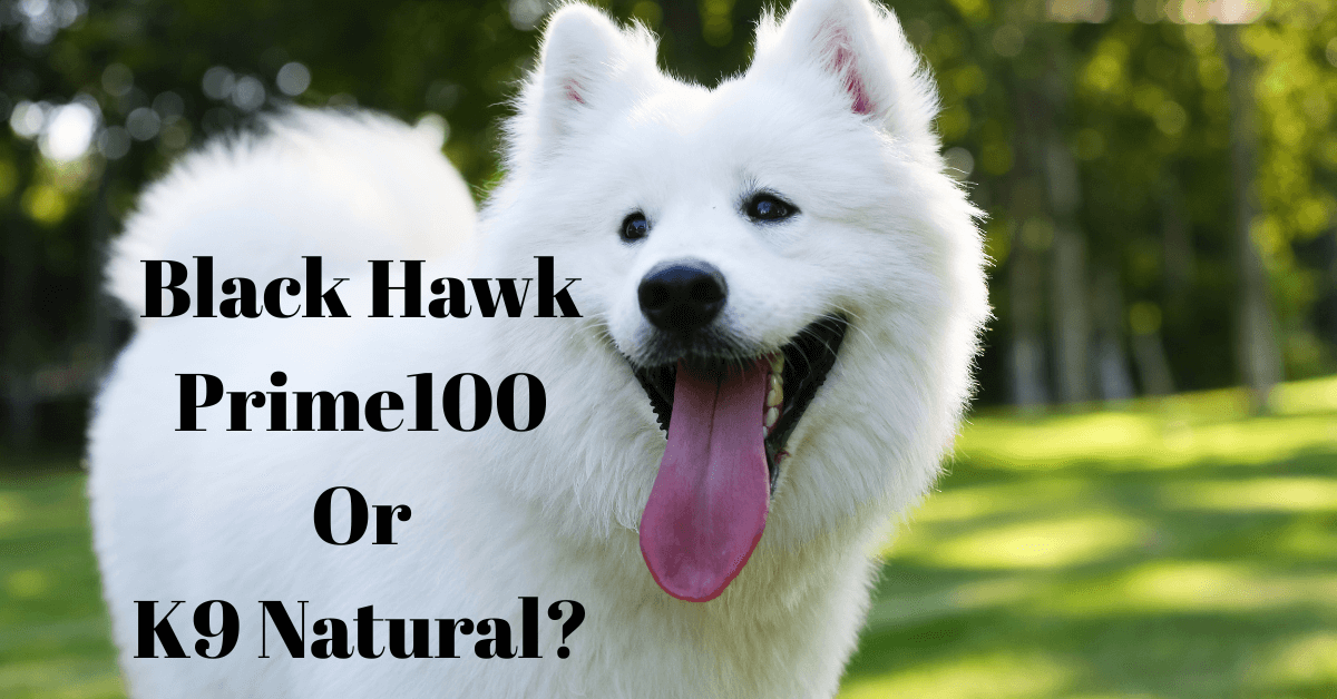 cover image of how to choose from black hawk, prime100 or k9 natural dog food 