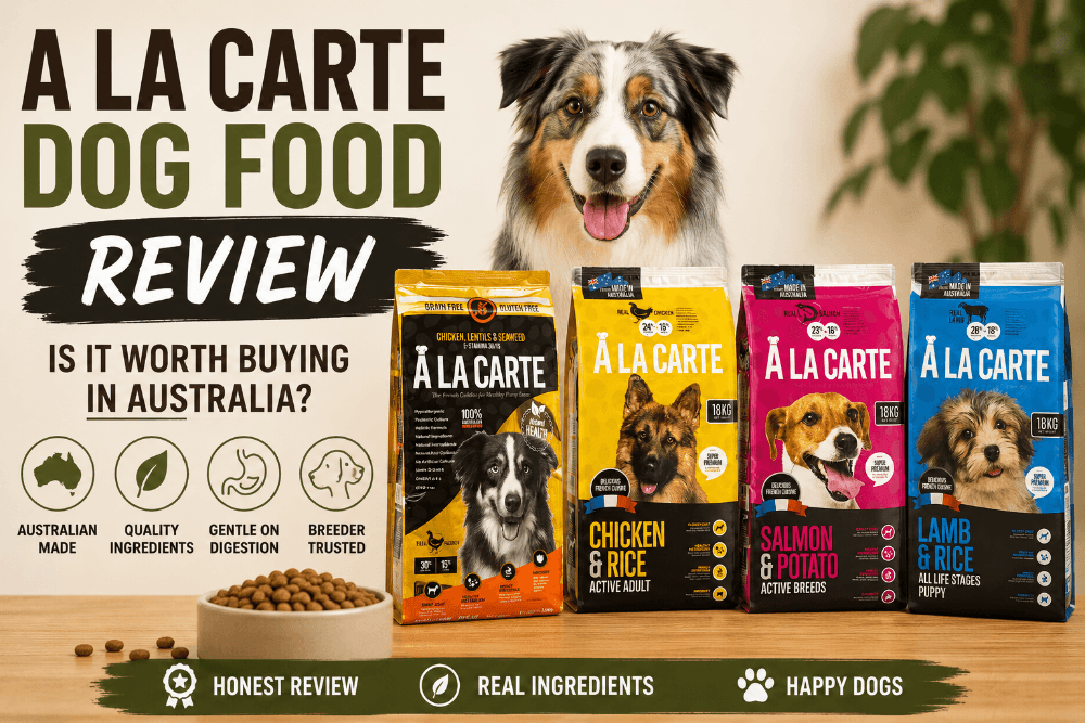 A La Carte Dog Food Review Banner