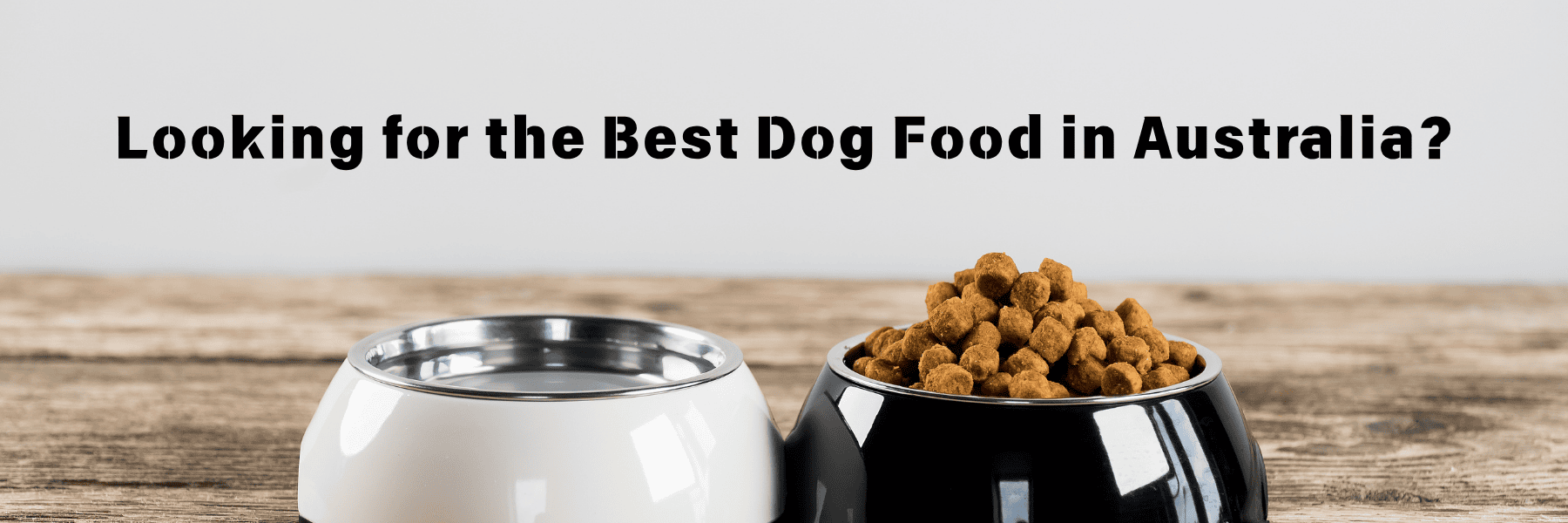 best dog food in australia blog banner