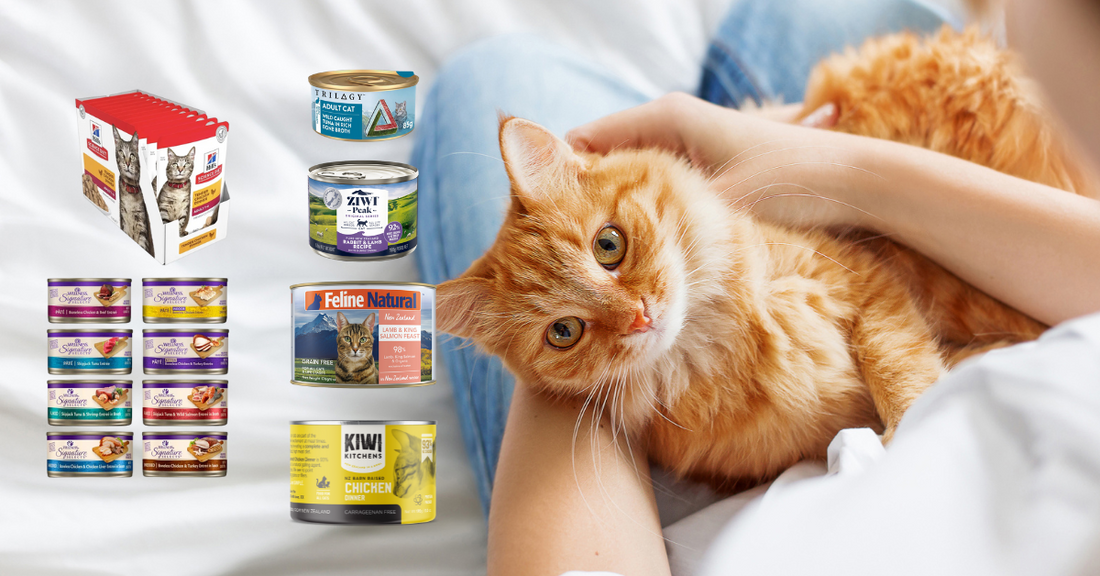 different styles wet cat food in a background of an orange cat and human hands