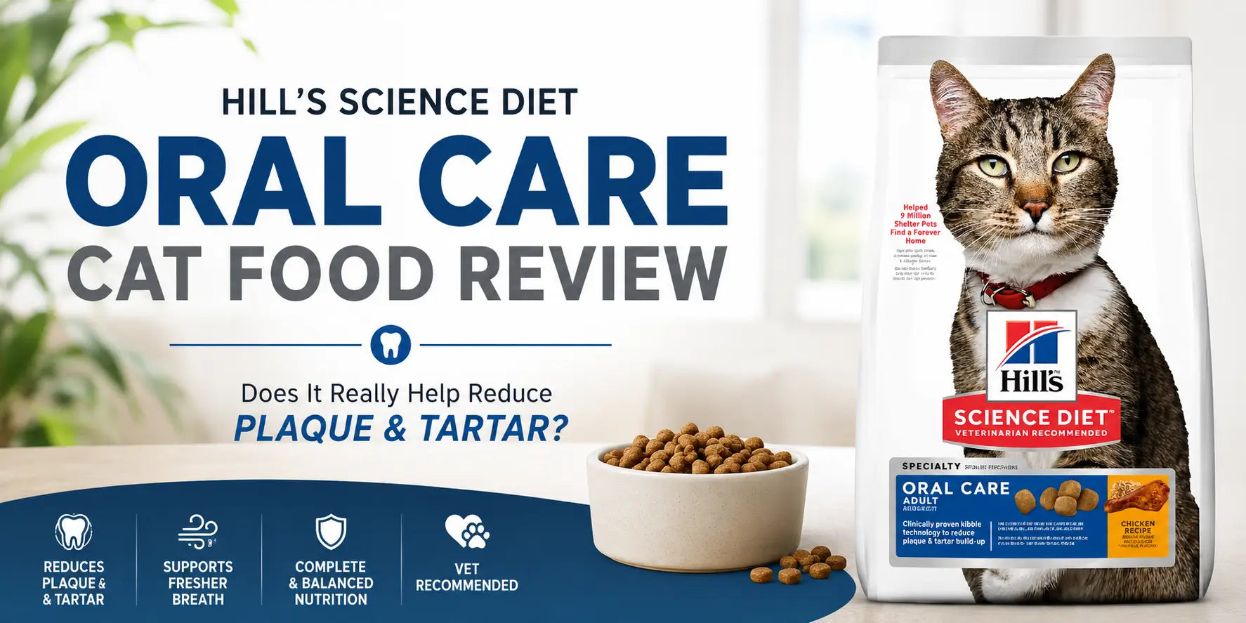 Hill's Oral Care Cat Food Review Australia – Does It Really Help Reduce Plaque and Tartar in Cats?