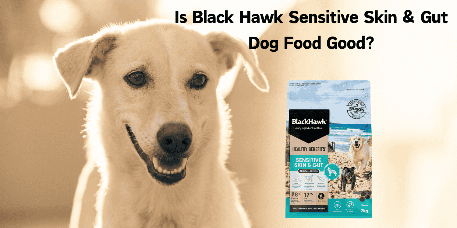 Is Black Hawk Sensitive Skin & Gut Dog Food Good blog banner