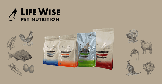 lifewise dogs and cats food featured image