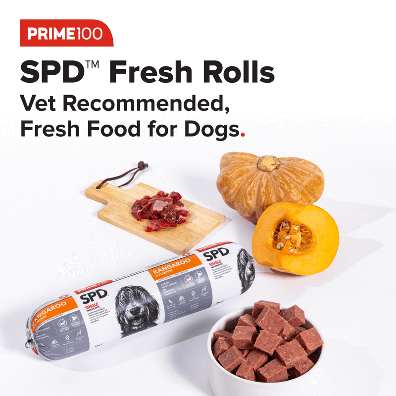 prime100 spd fresh rolls kangaroo and pumpkin dog food vet recommended