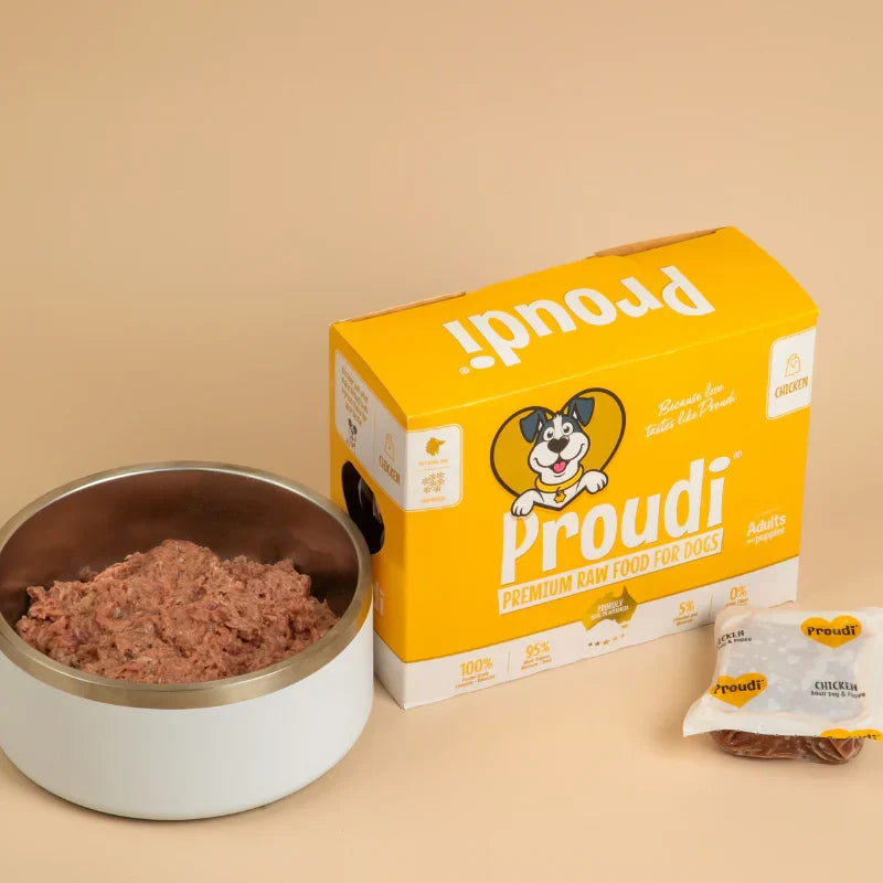 Proudi single protein chicken raw dog food — fresh raw food compared with dry kibble feeding