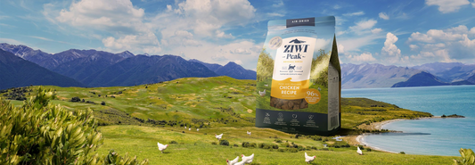 ziwi peak air dried chicken cat food in a new zealand chicken farm