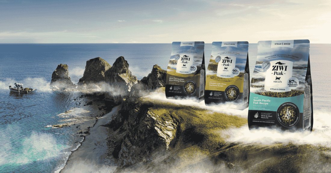 ziwi peak cat steam and dried cat food lifestyle banner