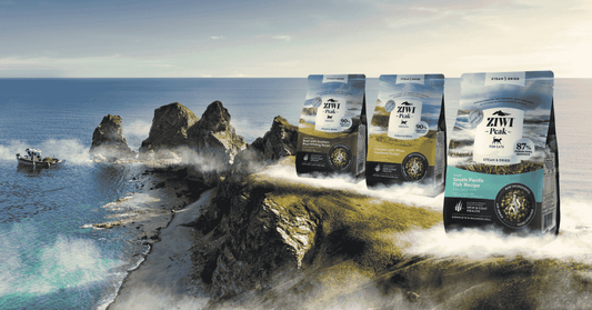 ziwi peak cat steam and dried cat food lifestyle banner