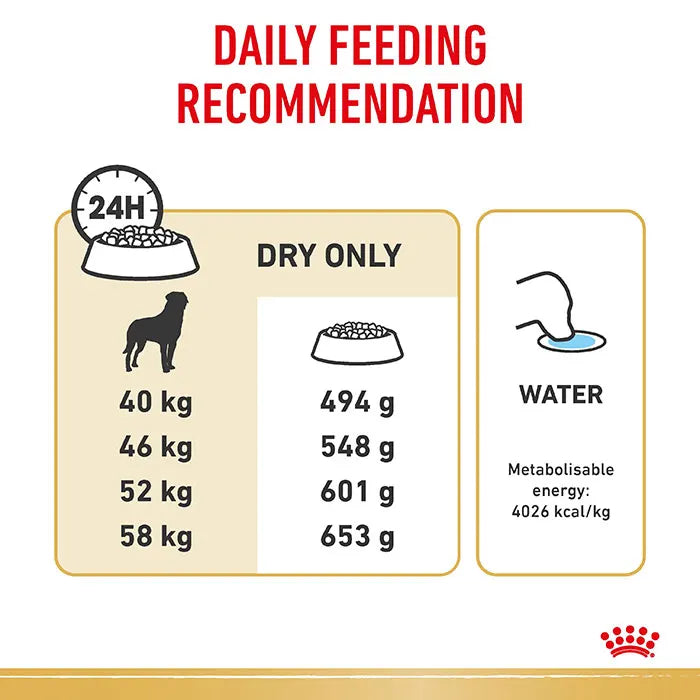 ROYAL CANIN Rottweiler Adult Dry Dog Food 12KG