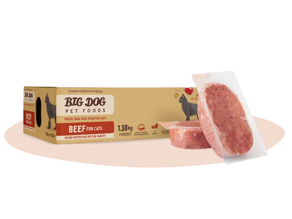 Big Dog Beef raw cat food 1.38 kg box with two frozen patties