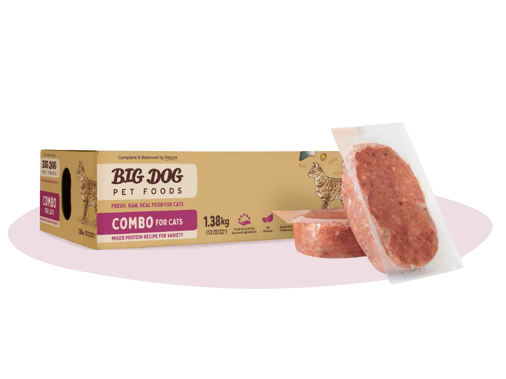 Big Dog Combo raw cat food 1.38 kg box with two frozen patties