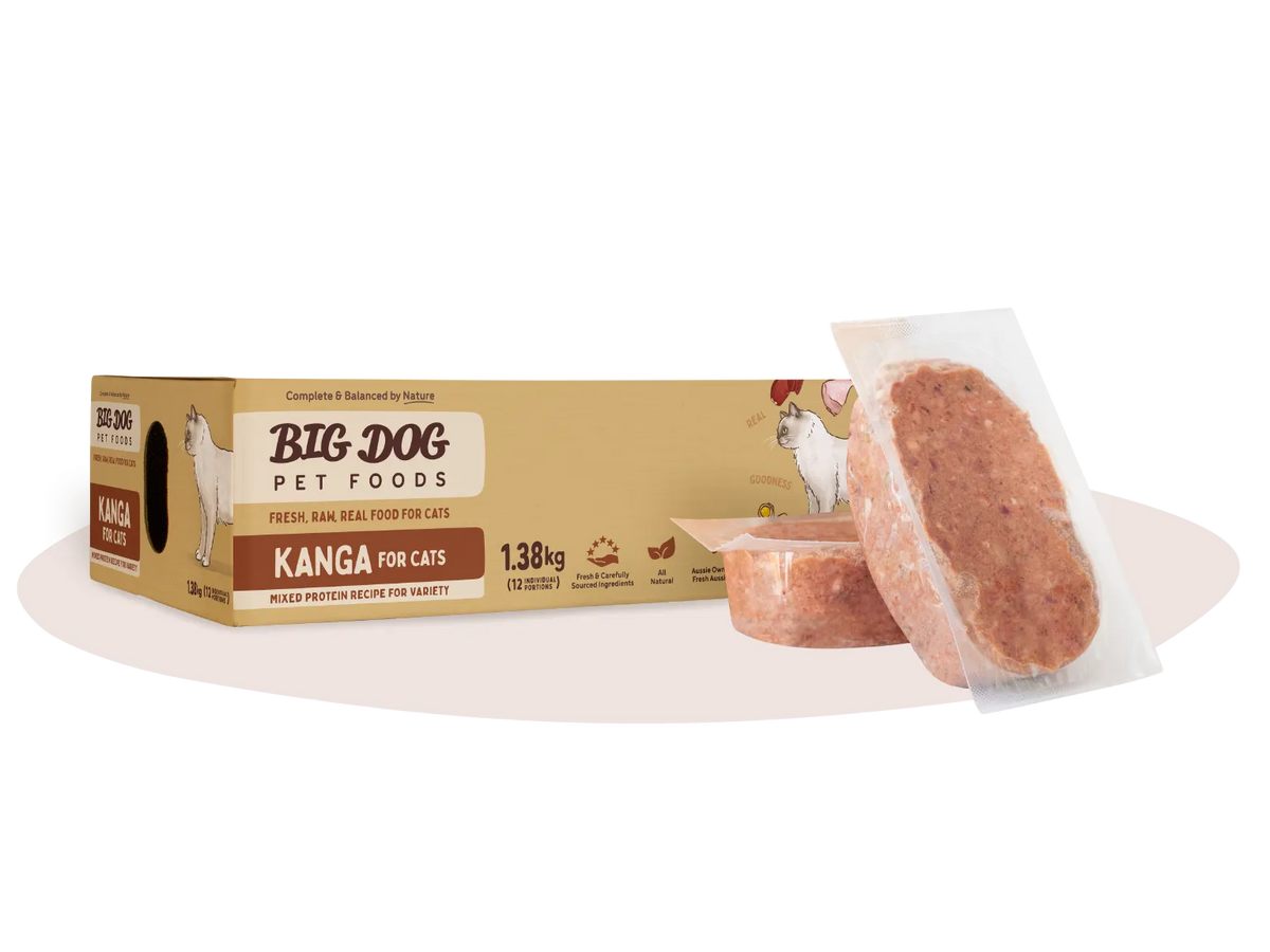 Big Dog Kangaroo raw cat food 1.38 kg box with two frozen patties