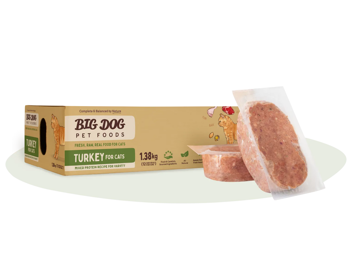 Big Dog Turkey raw cat food 1.38 kg box with two frozen patties