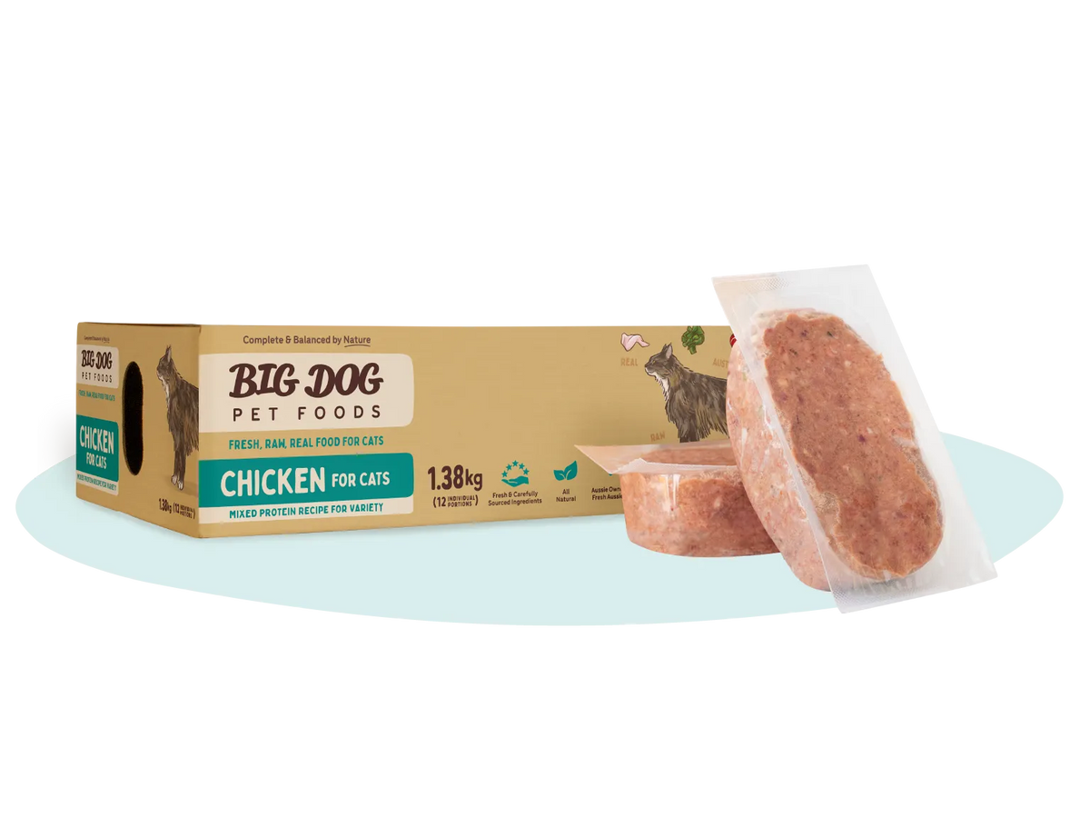 Big Dog Chicken raw cat food 1.38 kg box with two frozen patties