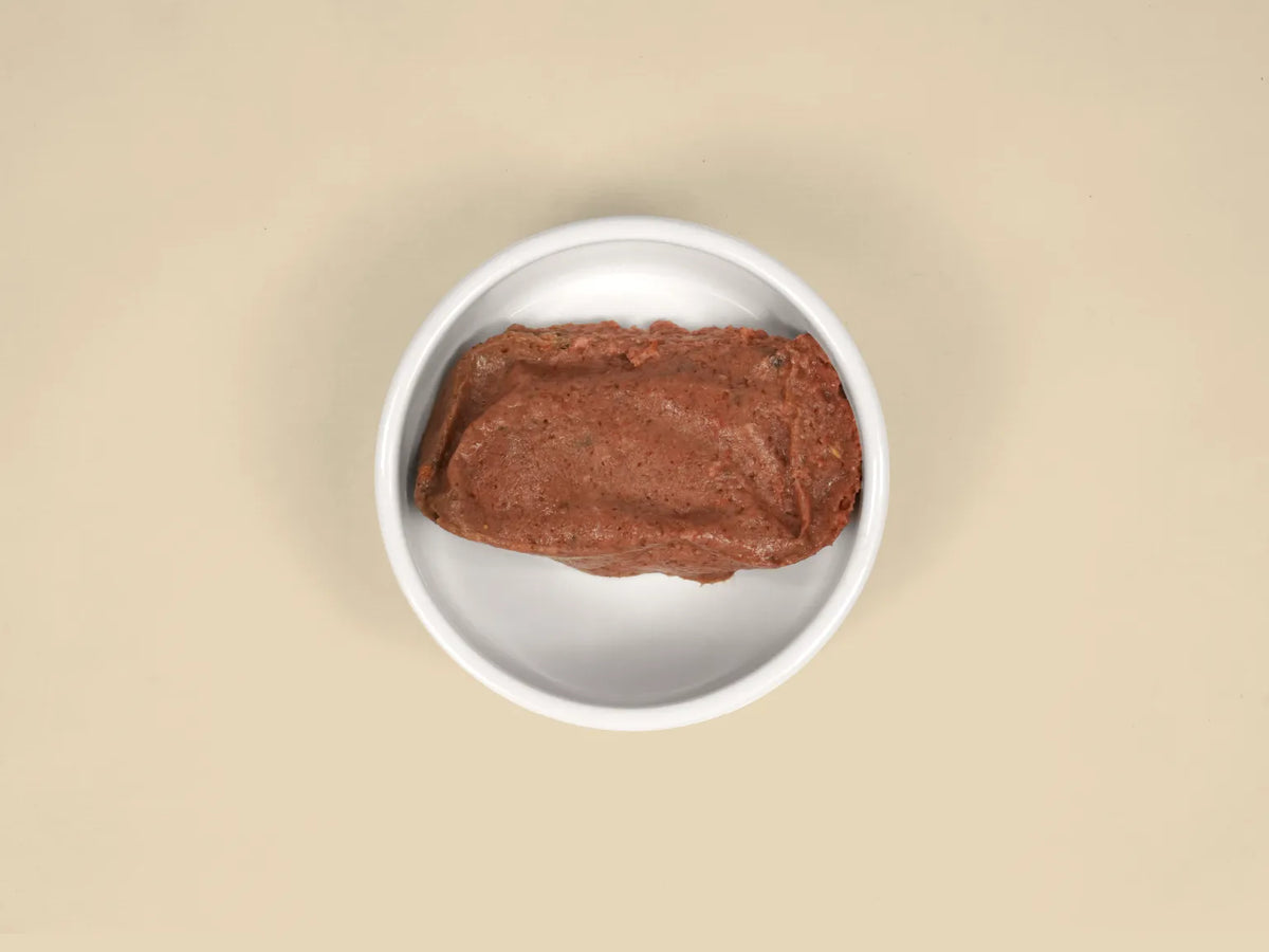 Big Dog Chicken raw cat food patty served in a bowl