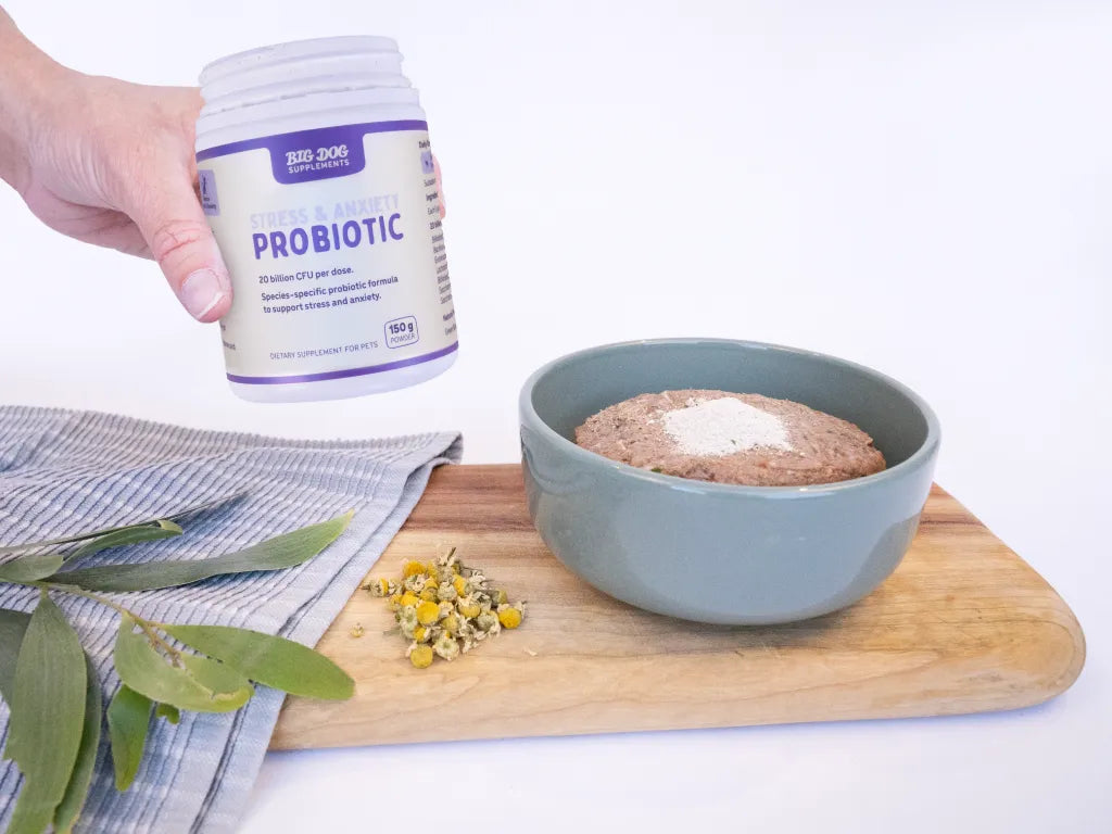 Big Dog Stress & Anxiety Probiotic 150 g sprinkled over a bowl of dog food