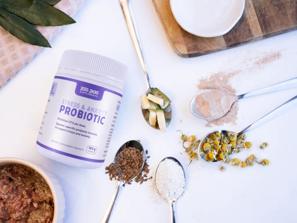 Big Dog Stress & Anxiety Probiotic 150 g jar with spoons of its ingredients
