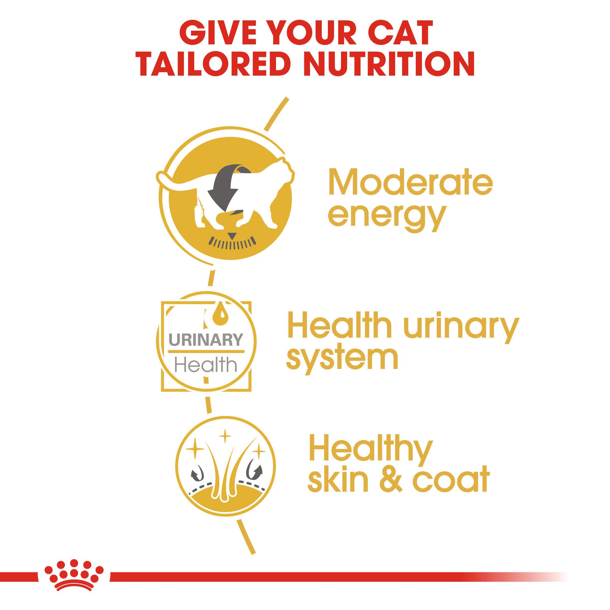 Royal Canin British Shorthair gravy benefits: moderate energy, urinary health and healthy skin and coat