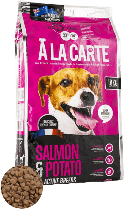 a la carte salmon and potato low grain dry dog food with kibble display