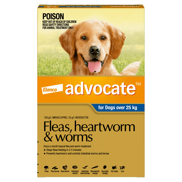 advocate flea and worming extra large dog over 25kg blue 6 pack