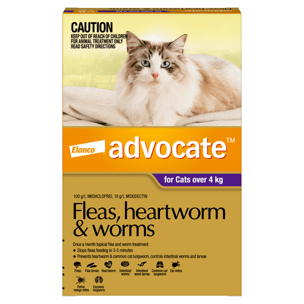 advocate flea and womrs large cat over 4kg purple 3 pack