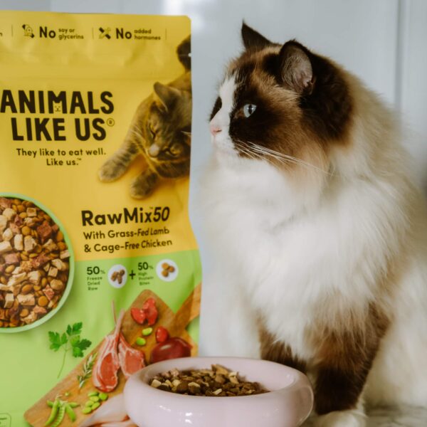 Animals Like Us Cat RawMix50 with Lamb and Chicken 1.36KG lifestyle