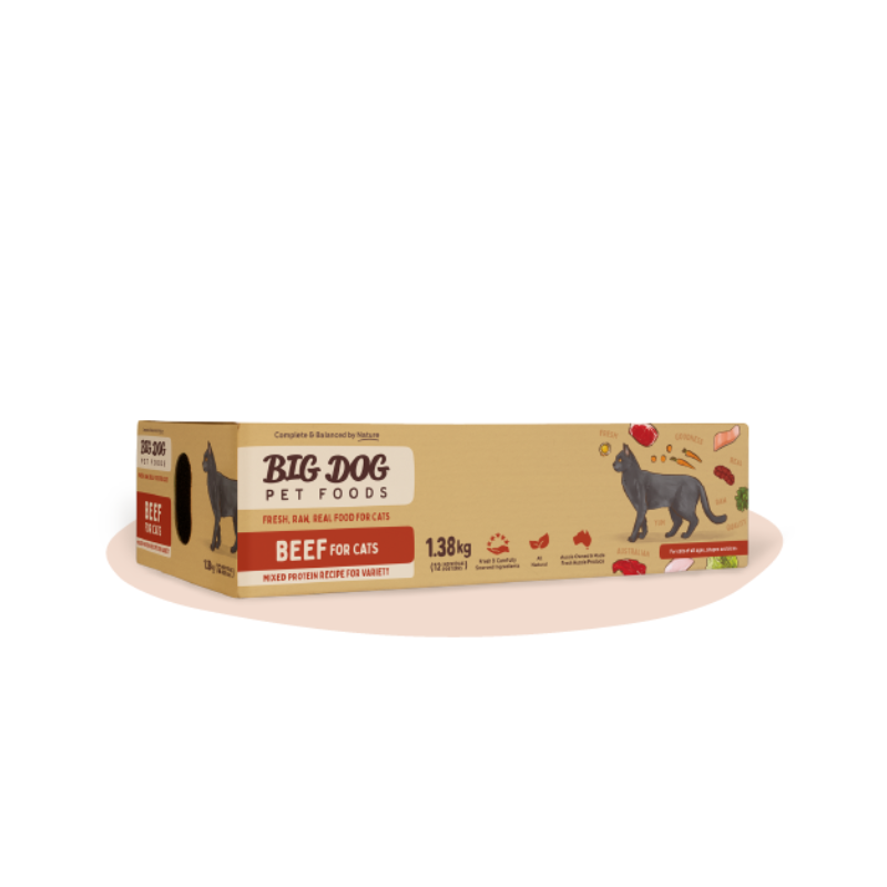 BIG DOG Beef Raw Cat Food 1.38KG