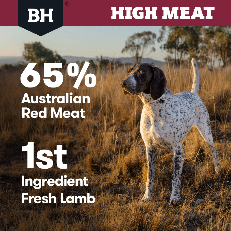 BLACK HAWK High Meat Australian Red Meat Dry Dog Food features with 65% australian red meat and fresh lamb as first ingredients