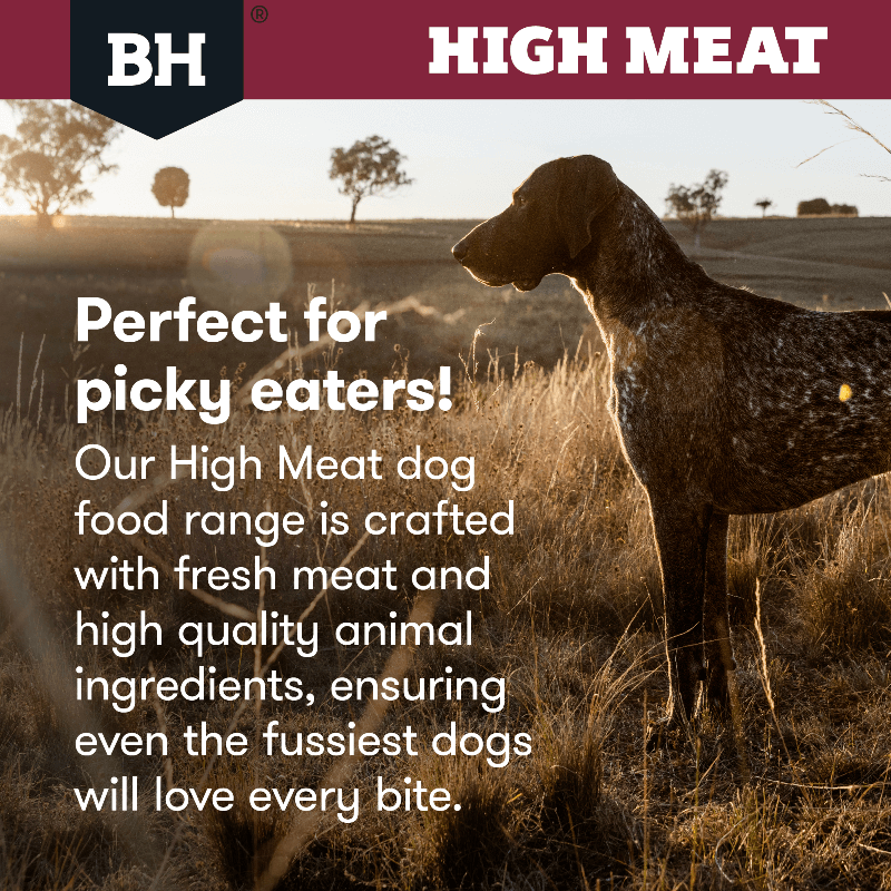 Black Hawk High Meat dog food – crafted with fresh meat, perfect for picky eaters