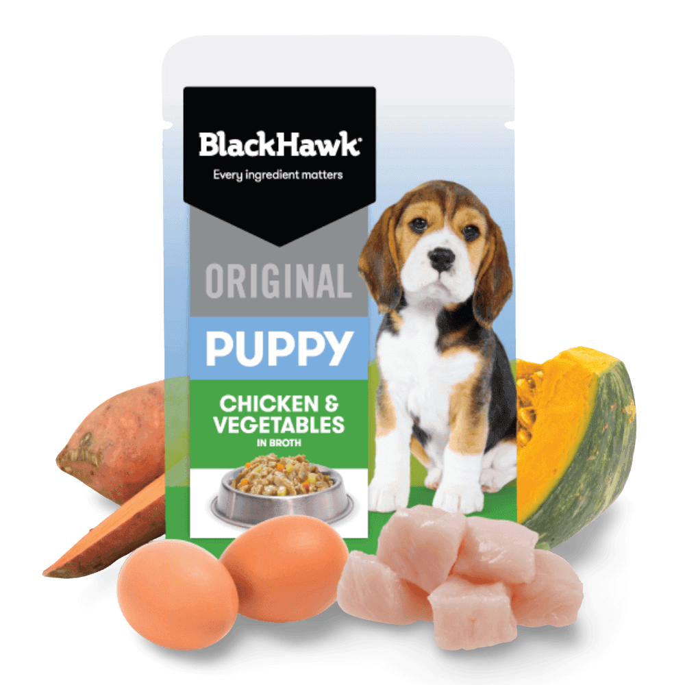 BlackHawk Original Puppy Chicken & Vegetables in Broth packaging with ingredients on a black background