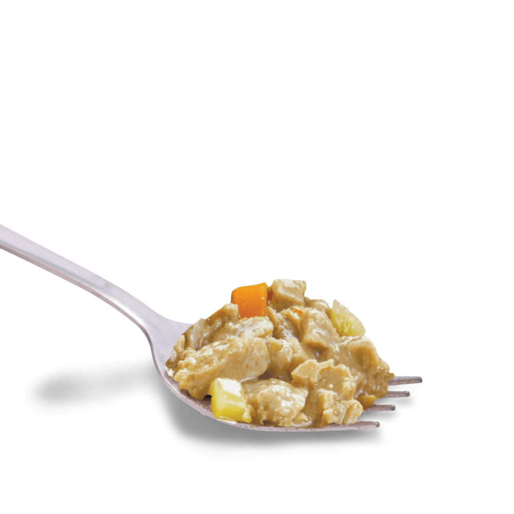 Fork with a scoop of creamy black hawk original puppy chicken and vegetable wet dog food in bone broth on a black background