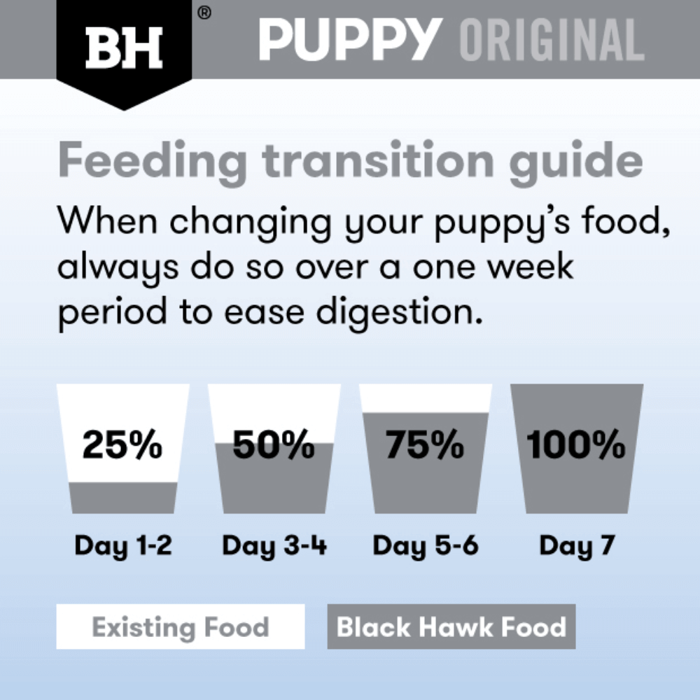 Feeding transition guide for a puppy with Black Hawk Food on a blue background