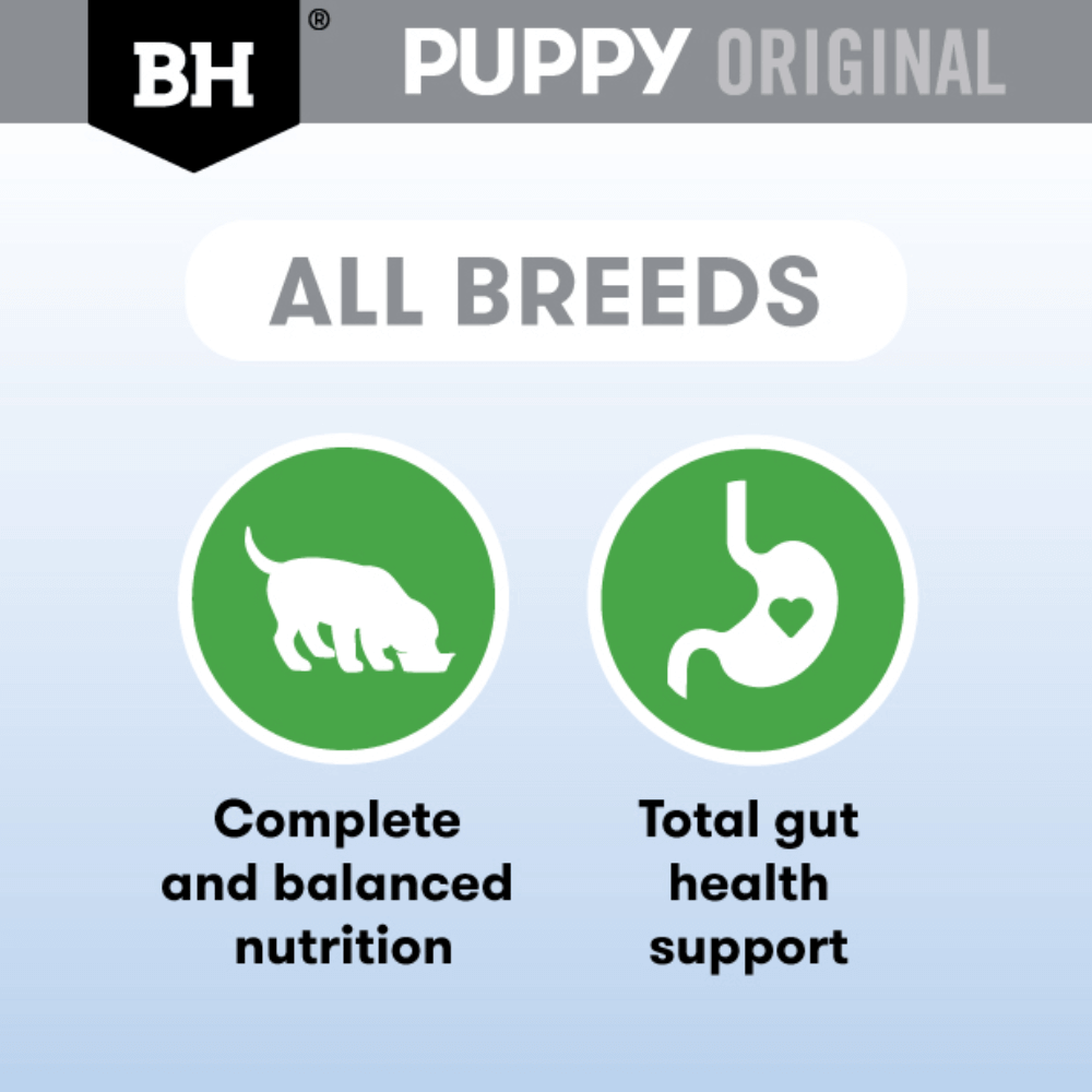 BH Puppy Original product description with icons and text on a light blue background