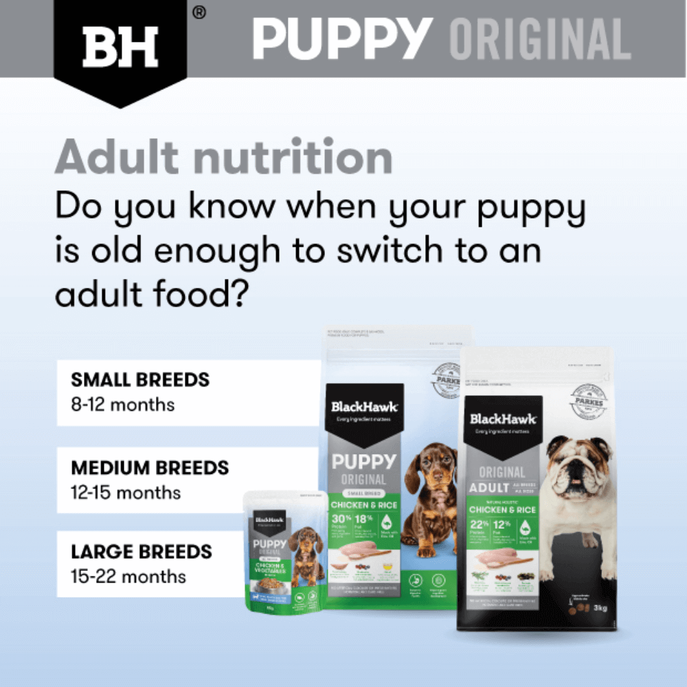 when to switch to an adult food from black hawk puppy food range