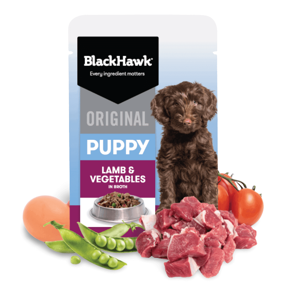 BLACK HAWK Original Puppy Lamb & Vegetables Wet Dog Food with fresh ingredients