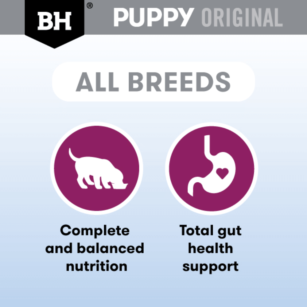 BLACK HAWK Original Puppy Lamb & Vegetables Wet Dog Food for all breeds